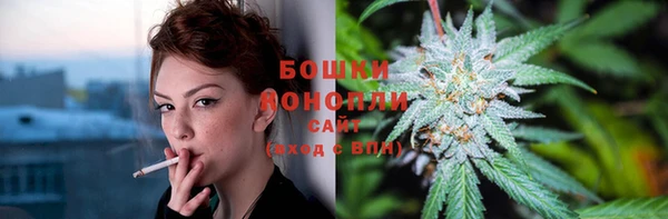 прущие грибы Навашино