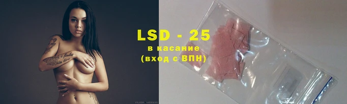 spice Надым