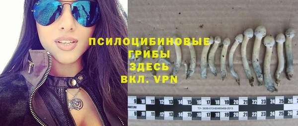 спиды Наволоки